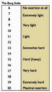 Borg scale